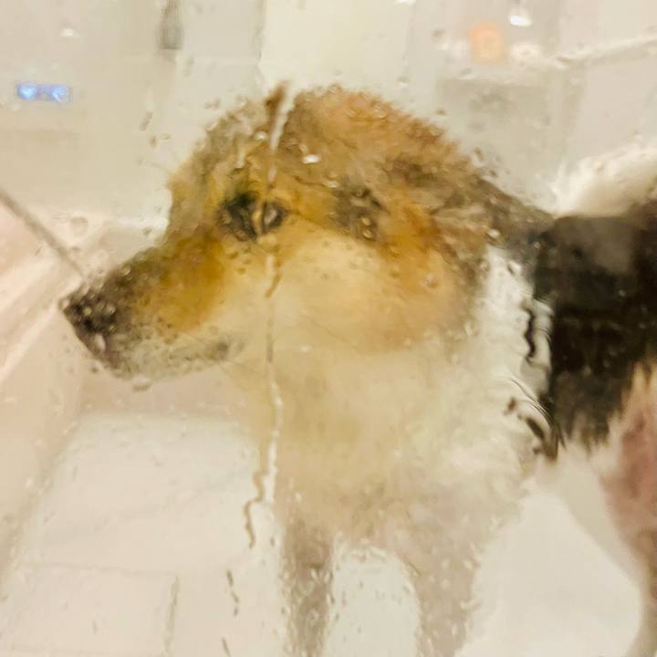 5fc4d1ef ce63 4fb9 995e 14e1dead6662 1766308399314