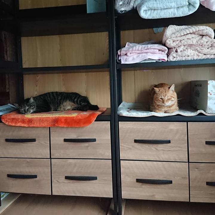 5fc515e5 fae7 4142 b64a 35dc67aaa292 1662614277701