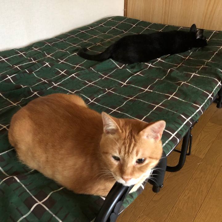 5fc521b4 cd7a 4eba 9c9d 67b84efd8c9d 1693085050693