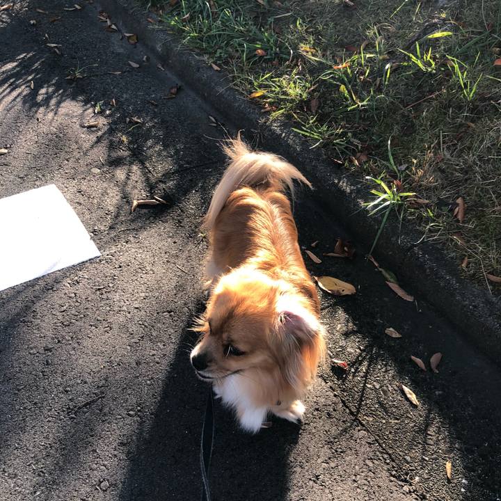 5fc528e6 270c 431e a7fc e2245afcdf6c 1535241501534