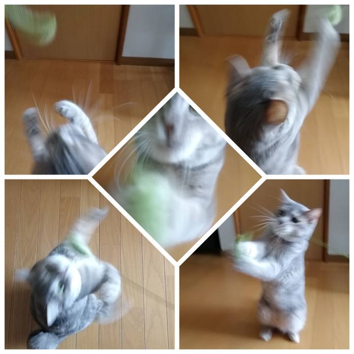 5fc53855 3419 4ee6 877f 10d17b9bdf99 1536394223689