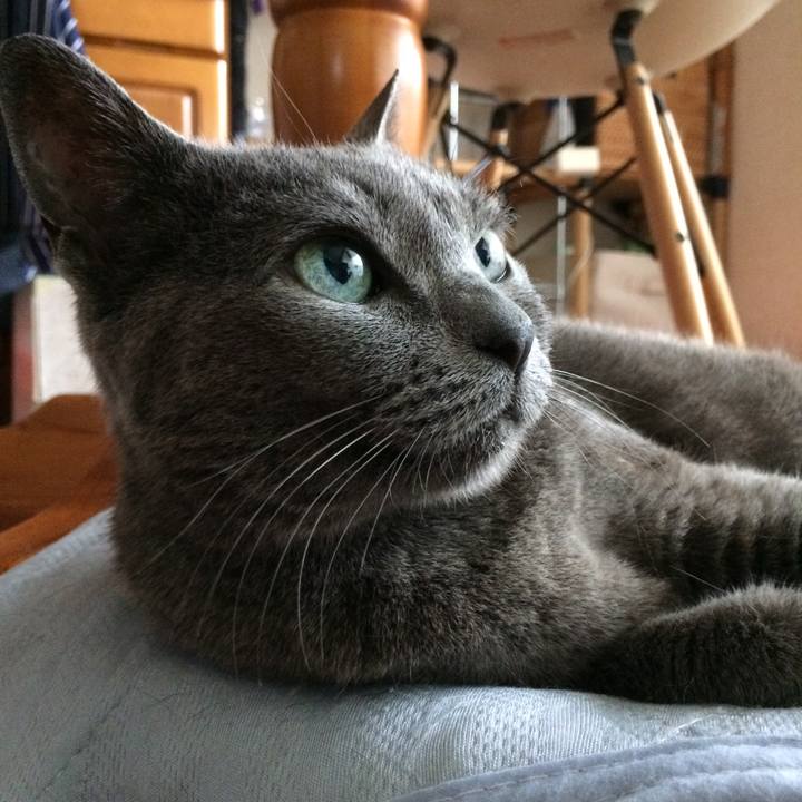 5fc55a3f 76f8 42fb 80ec cb9609a99f5b 1529184909422