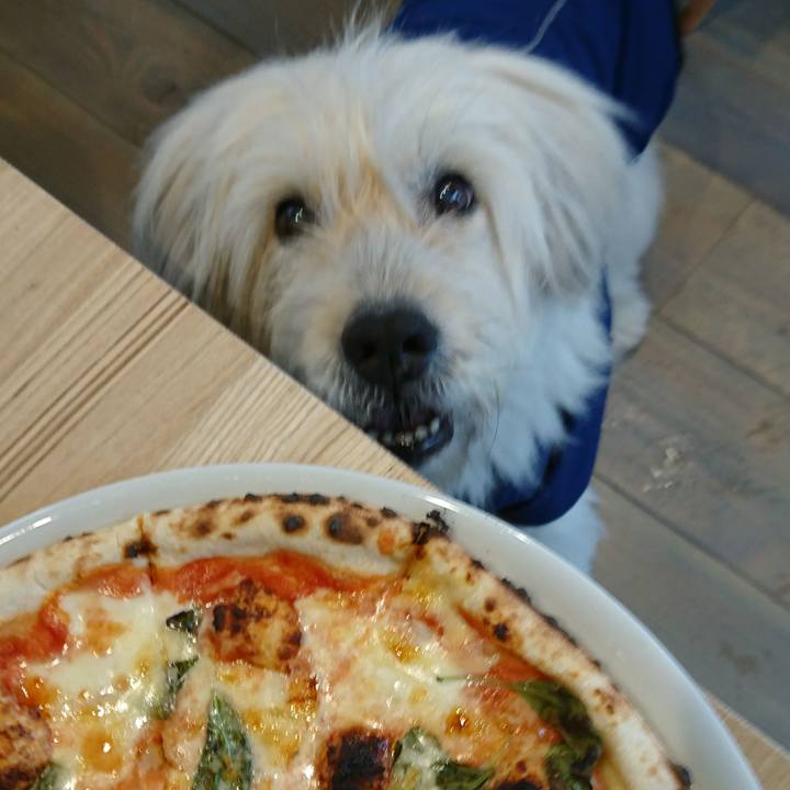 5fc569b0 20ea 4fae ae73 e1bb627d15db 1581142294996