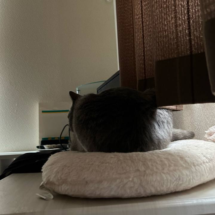 5fc57652 2dff 4e81 812a c9fc0f43d3d7 1685226513813