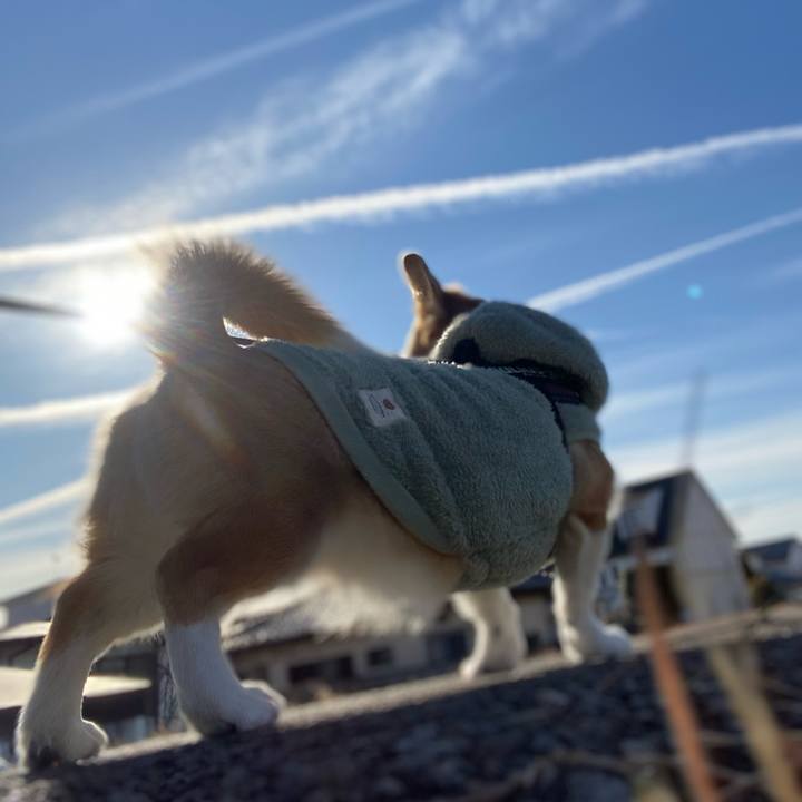 5fc5777b 3a9c 44f4 aeb1 af689d195139 1642206185430