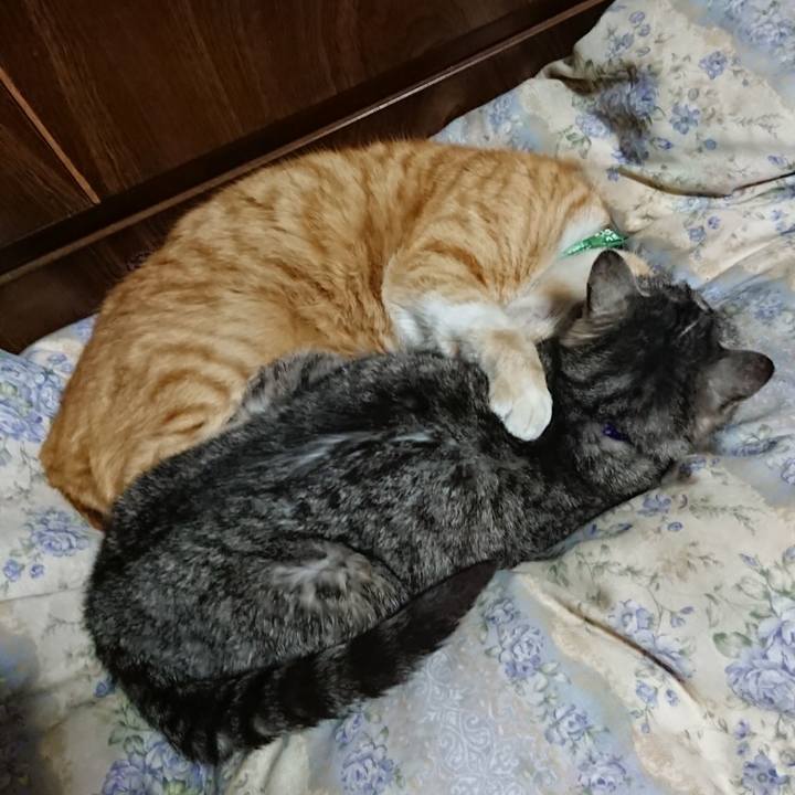 5fc59586 5e66 45f4 aa47 25cdd5abbac7 1583155855458