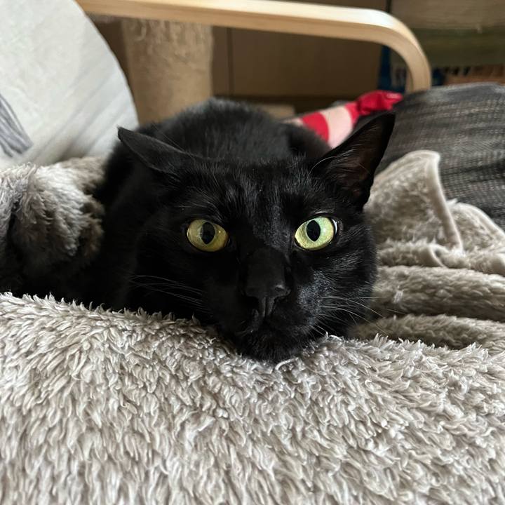 5fc598fa 293c 4ed9 860c 77869f9128b8 1683677186853