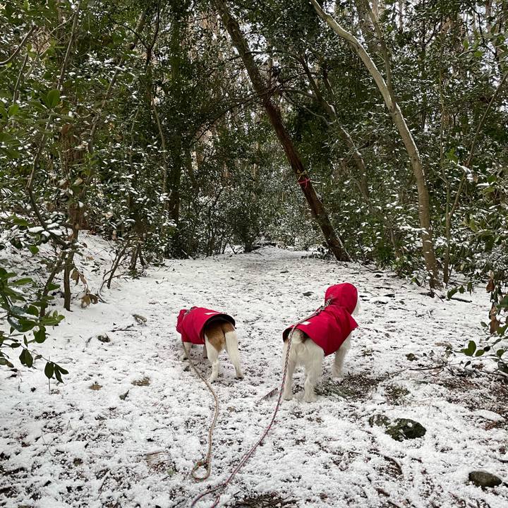 5fc5b3b6 84b3 4e0e b4d0 1591f3e73edf 1676932730281