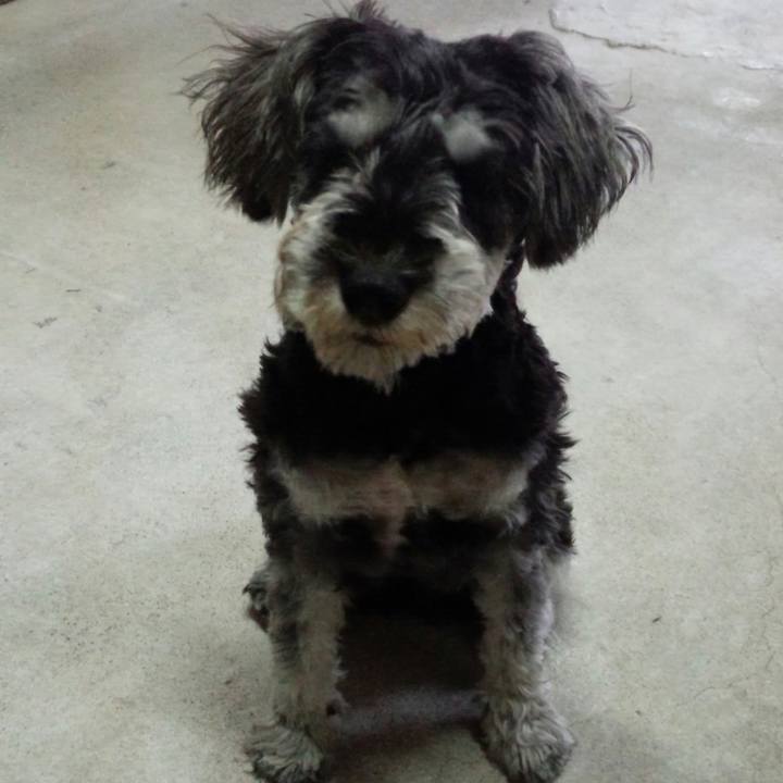 5fc5b4be f421 46e9 bb17 786710cf15a3 1523880755865