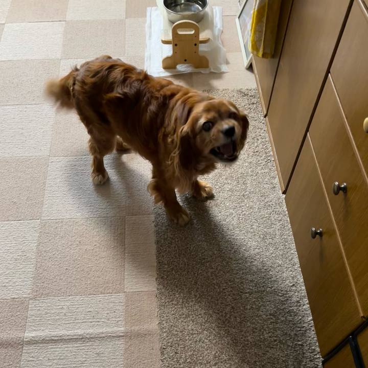 5fc5cfea 1ef9 44fe b277 e718bb45e3e5 1719614717015