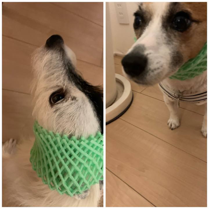 5fc5ec44 a72f 4e95 aa35 96843be84d04 1602158539547