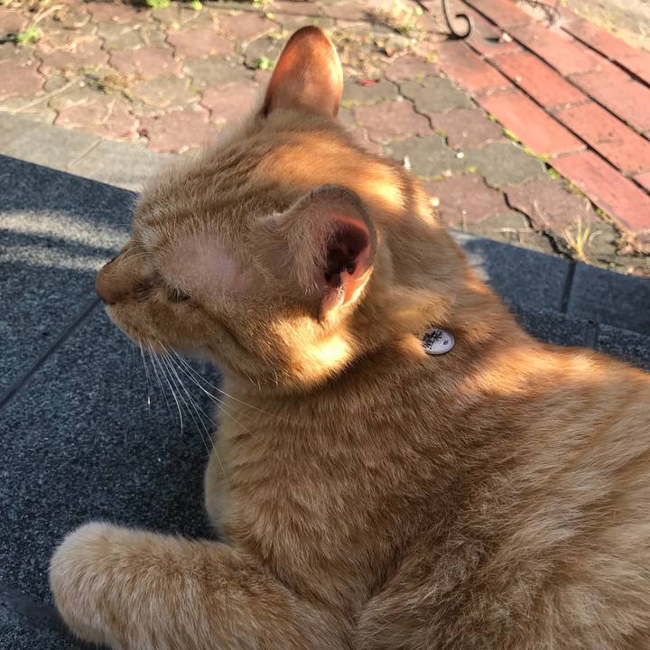 5fc60c59 626f 4fbe bfc3 797492ae926f 1507621937547