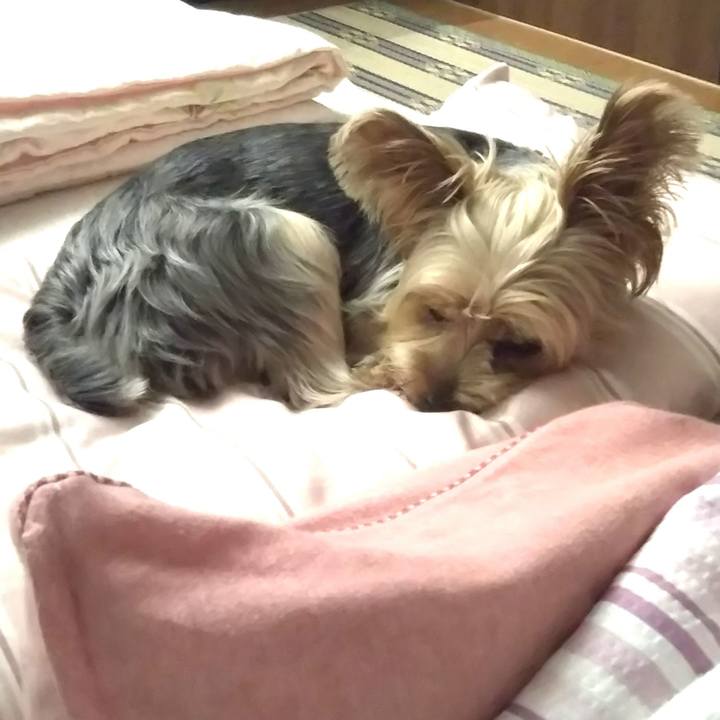 5fc63bbd eb4a 4eeb 8b80 486caf5a5a37 1626528976249