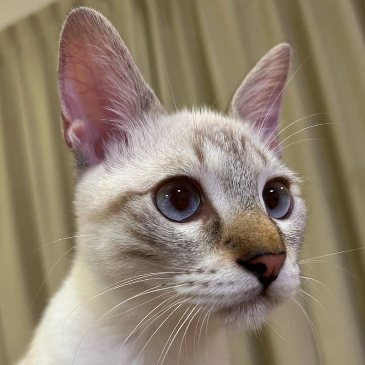 5fc65b21 85f2 4fa0 9a7d e1d86fdde176 1728746637252