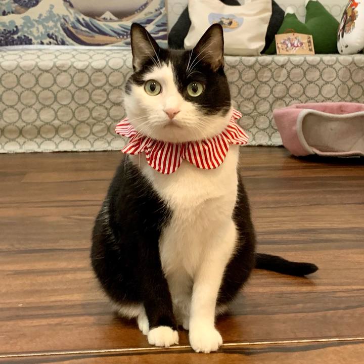 5fc6e367 76ab 4ed9 aff6 0088fa977889 1637141620307