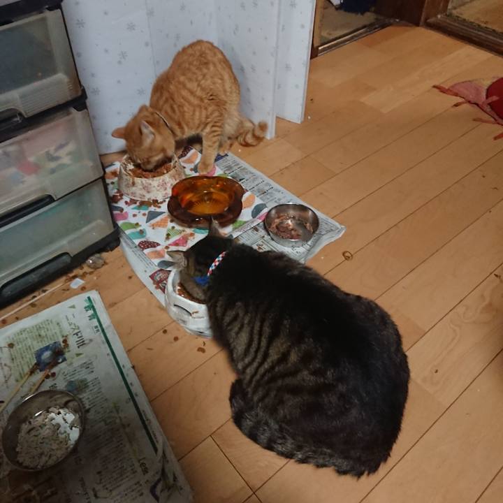 5fc7937b 8c8d 43d4 bc6b 55486492dce9 1654772483696