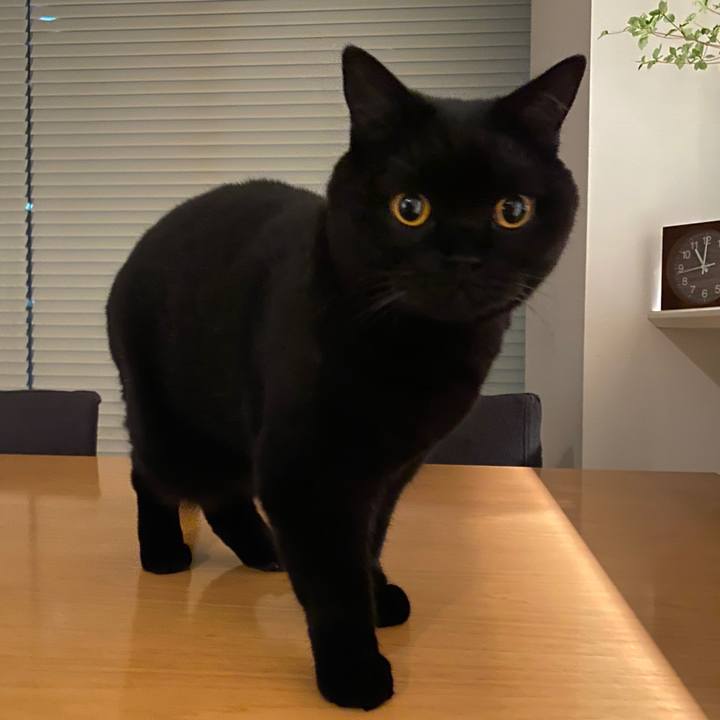 5fc82dba 3a2f 46f7 bcfd 46ec472acc8e 1603548118280