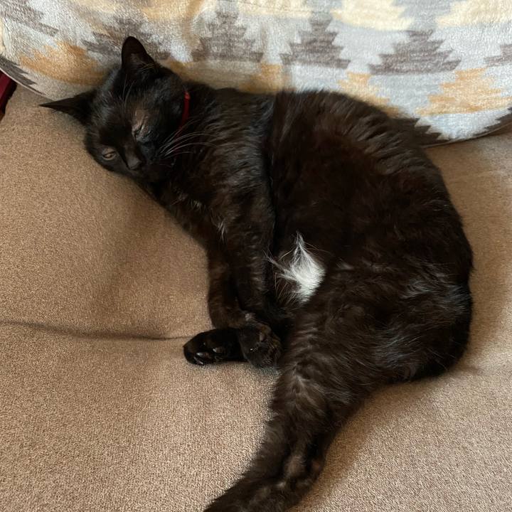 5fc83020 3f0b 4c83 adae fd7714d3db7b 1625309161289