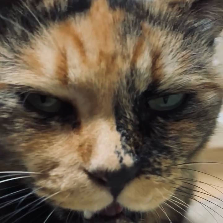 5fc83211 5a27 4110 af90 e7085d34e4a9 1752955493959