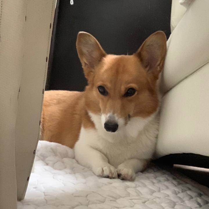 5fc84fa6 592d 40c0 aa3e ae649e38facb 1568026381603