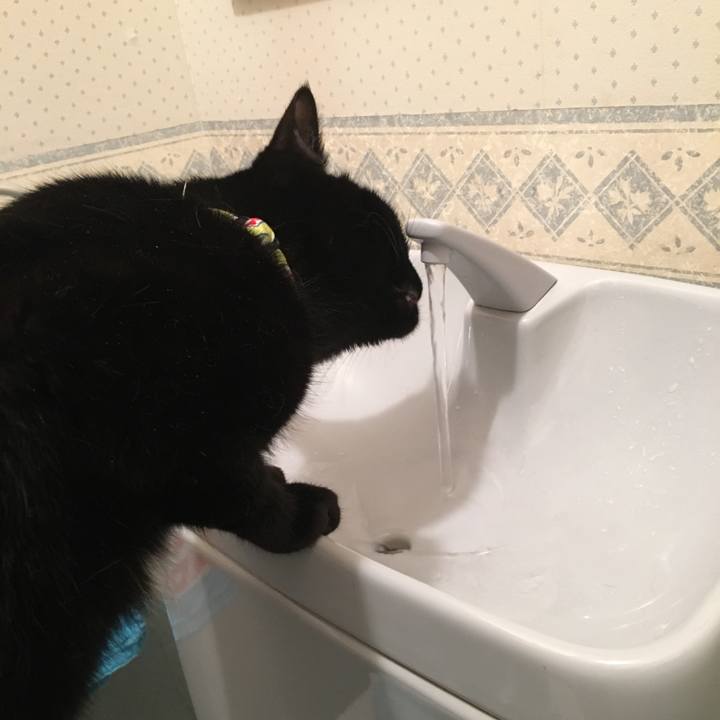 5fc8e8be 26b8 4d3a b704 4b1c928c937a 1529333556829