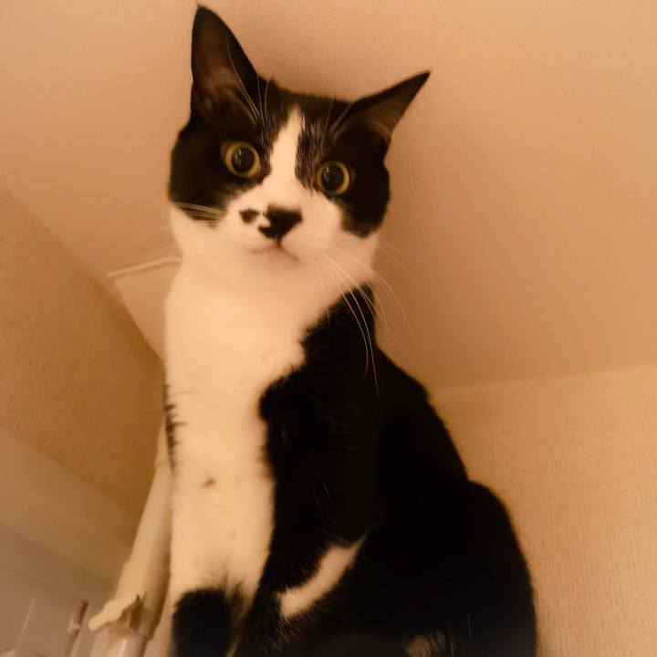 5fc91cee 1c3e 4b31 aa5e 67d93f74f4dc 1547824549099