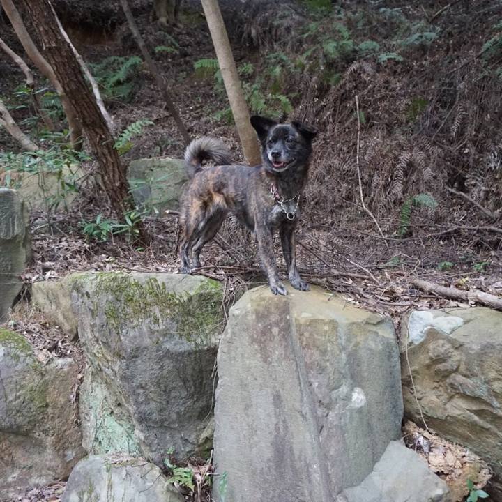 5fc92990 8051 41ef 948e 421ba0fa1d28 1524233008670