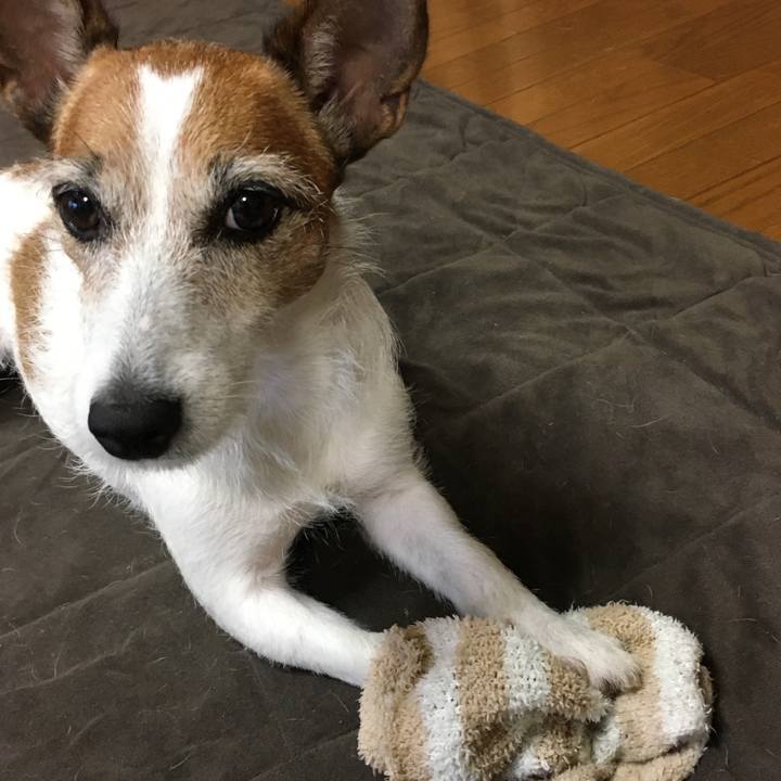 5fc932b2 d3b4 4099 9d54 8568d10fe67d 1602632112574