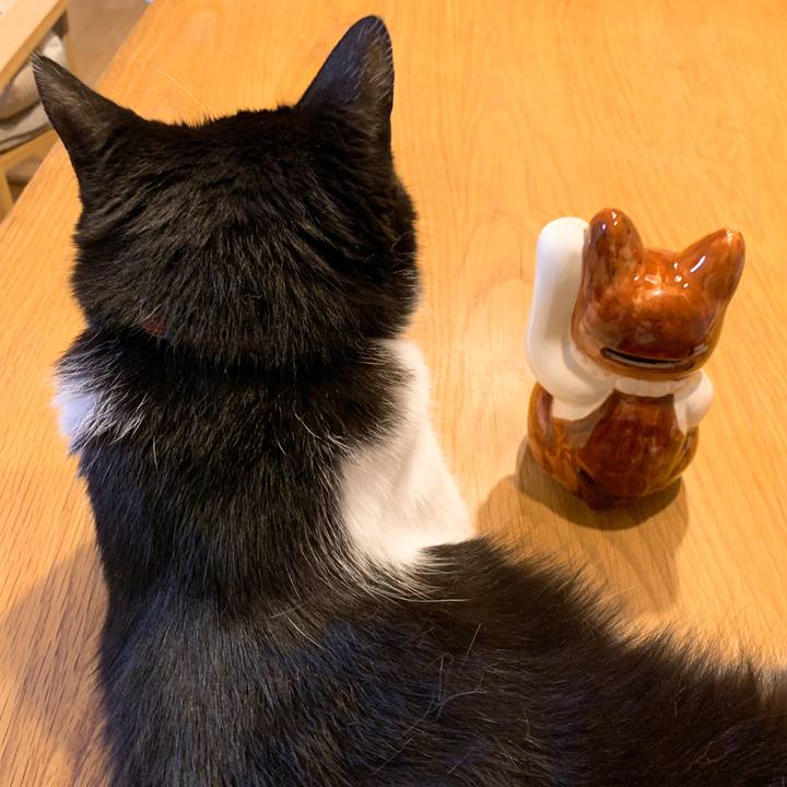 5fc93948 bbd4 4500 8949 a1f98f9be2a4 1565576948802