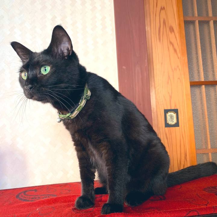 5fc9657b 380e 43d3 9219 2d854e5f1ebb 1568014015268