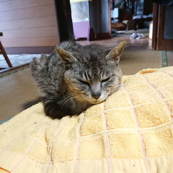 5fc9b1af 4d2c 4238 9242 73c77c5996ad 1593641016057