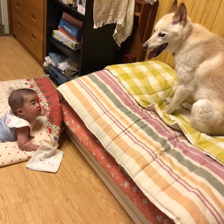 5fc9e237 dffe 4a61 a463 5755788ff488 1593756267027