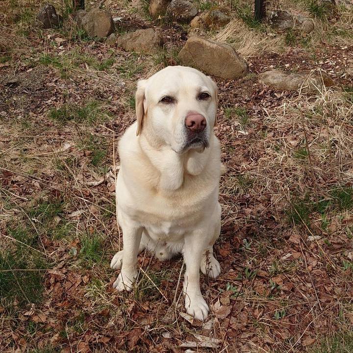 5fc9e473 7cf5 4b9c 9567 91c191577b39 1650959544082