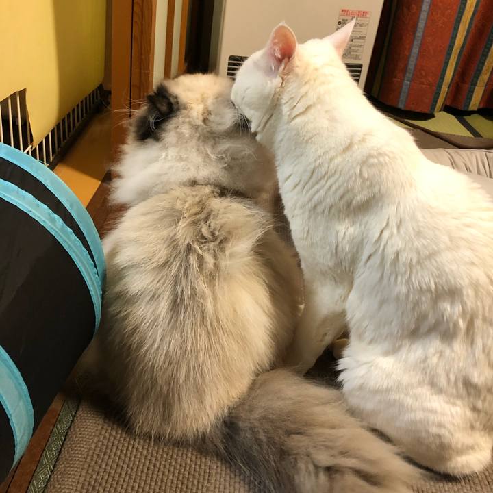 5fc9f791 6888 4712 9d76 8ab349258fb0 1644236211709