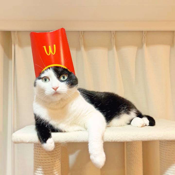 5fca3149 1291 45f0 892c dbe11c629128 1564095146992