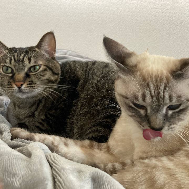 5fca326a 162e 4403 bd1b 0b1736c37d1f 1604802975541