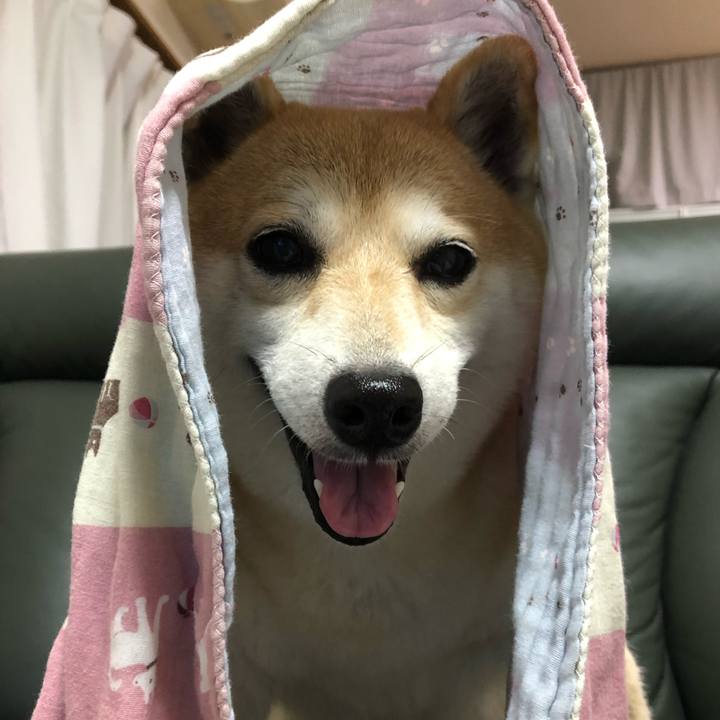 5fca7a02 f16d 4e6f adcc 327e1ceac9dc 1564296357322