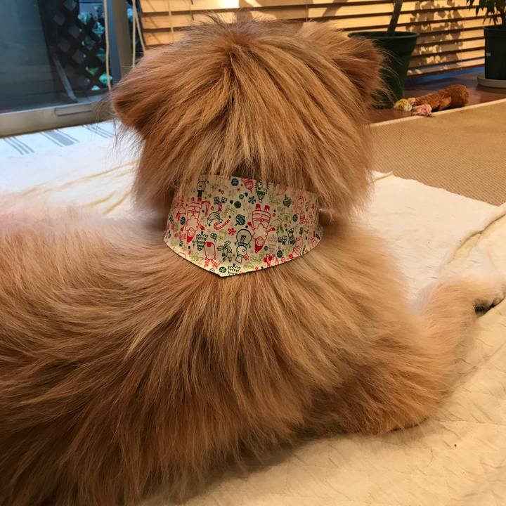 5fca974a 004f 400e 8e83 06d7482a4c49 1575962102398