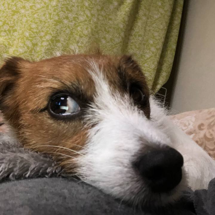 5fca9b1b aeba 4707 bd9b 6d1176c0d4e3 1515914730488