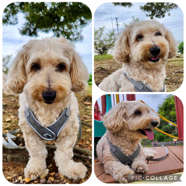 5fcaa7ce a35c 4f3a a07f 3191031e4f7f 1759633592838