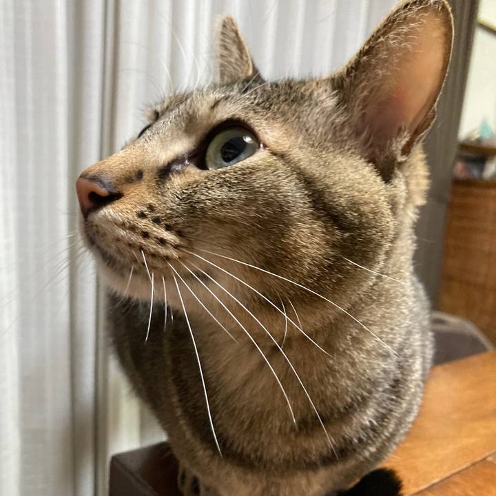 5fcaf5bf 4ca0 4f84 addd 4b864bf6341d 1773180941578