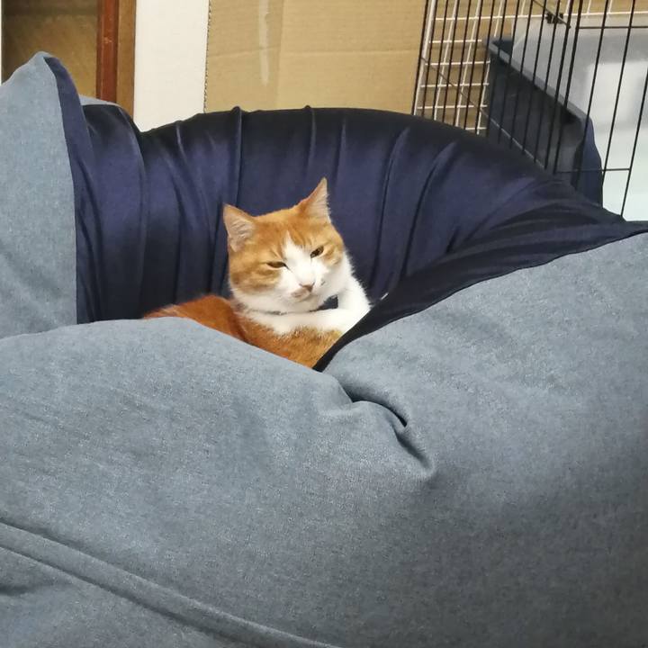 5fcb2790 385b 4634 8a96 6818460e397a 1608803243347