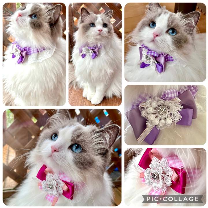 5fcb3050 cea7 4ef7 9ac2 5d9abb8972e1 1657455491200