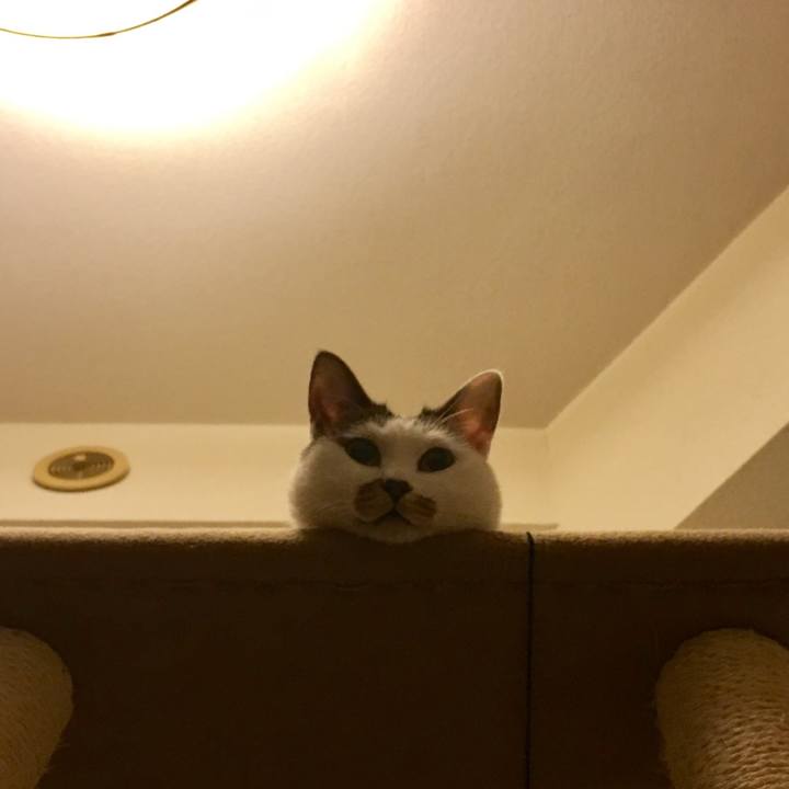 5fcb33db cebb 4ec0 b00e 945733b4ad4a 1518535146993