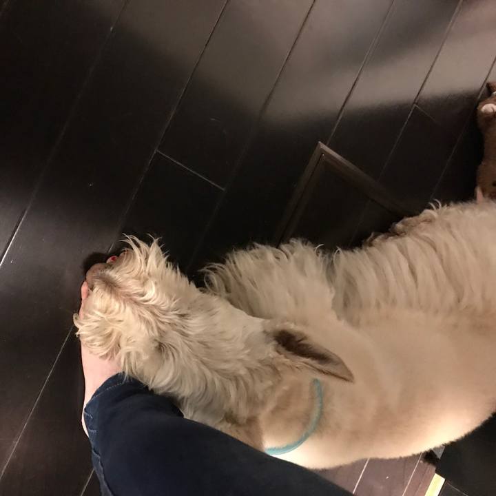 5fcb49f0 551a 4663 b4ca 68f7901ea59c 1524133307687