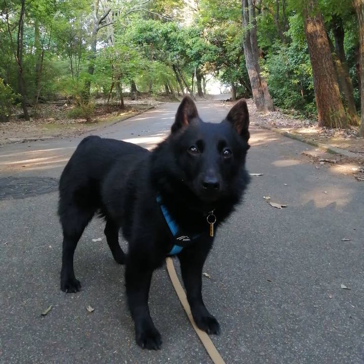 5fcb4e72 5842 40d3 b7fc 3d0f12ec437c 1653426907647