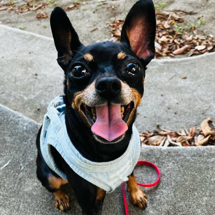 5fcb53ef 762a 49a6 a67e 5a737b97251d 1760654231027