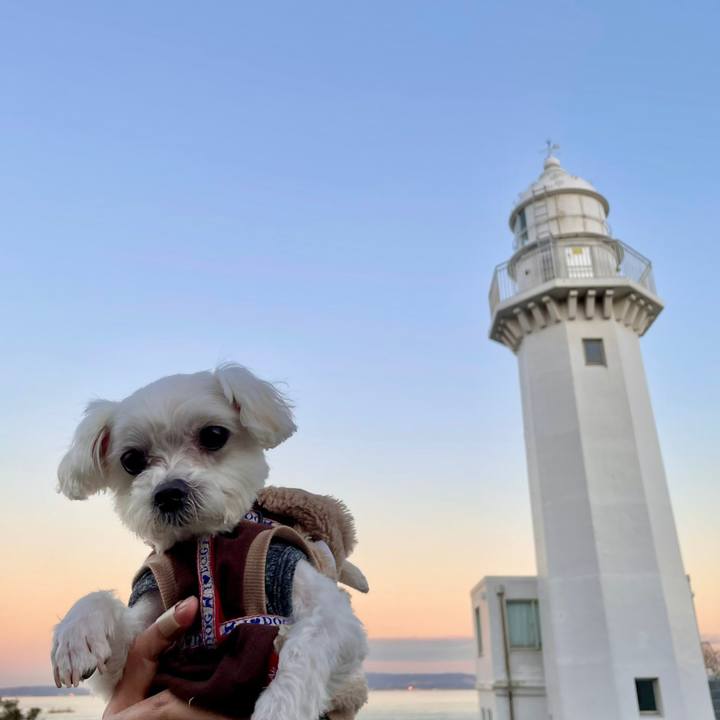 5fcb608e 1807 4ff7 be3a f52077038066 1642925933084