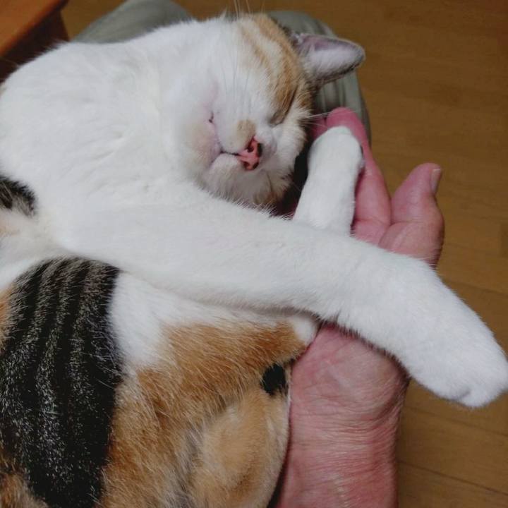 5fcb6227 50a7 467d a42c b9be0e06691f 1571314030345