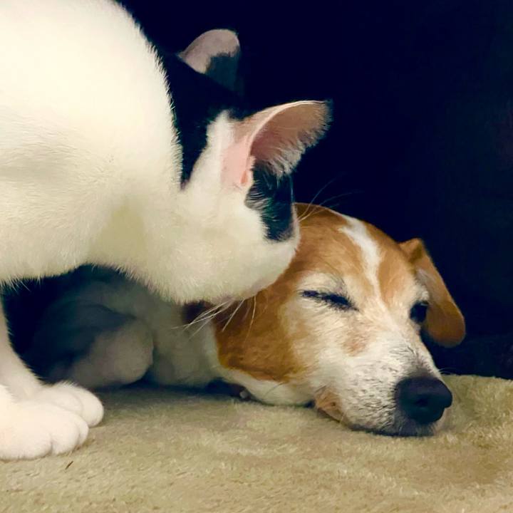 5fcb88c2 afbb 4323 9015 08caddd654b0 1701779103910